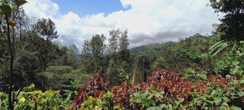 Westernghats Homestay Madikeri Dış mekan fotoğraf